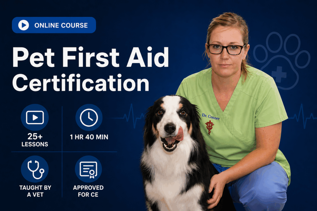 Online Pet CPR and First Aid Course